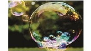 Fish & Bubbles